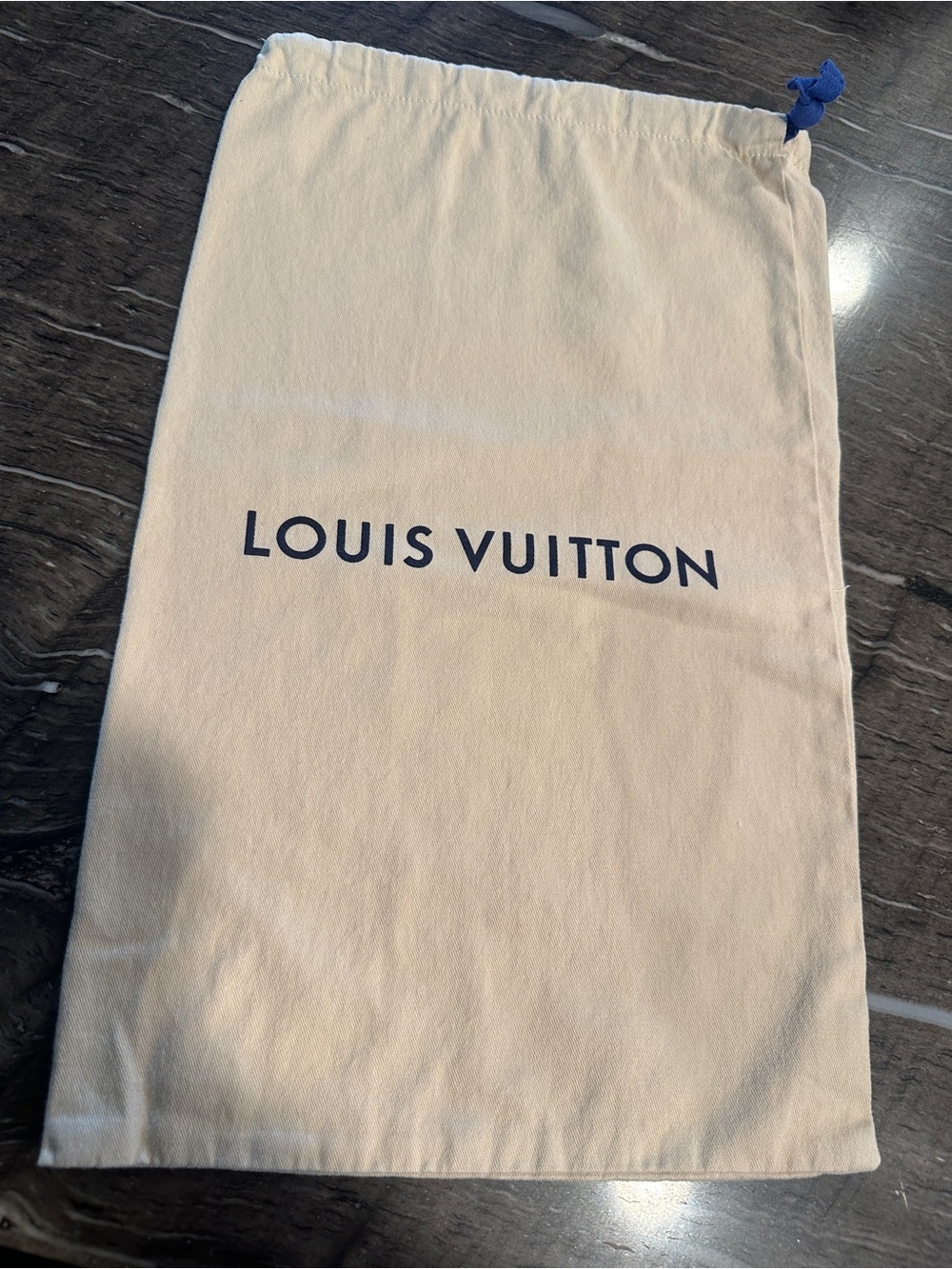 NEW Louis Vuitton cream Dust Bag blue drawstring handbag storage